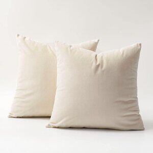 DOMVITUS Velvet Throw Pillow Covers 18x18 Set of 2 Decorative Pillows for Bed Sq